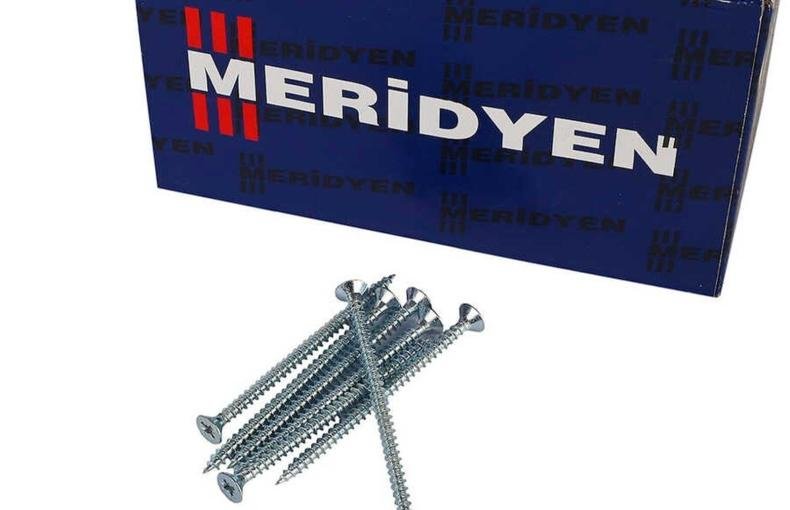 Meridyen Sunta Vidası PZ2 4x16 (1000 adt)